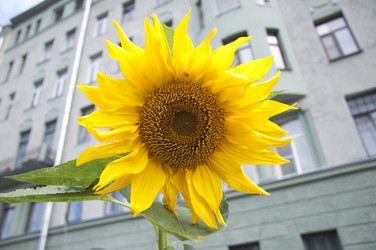 Similar image 347953