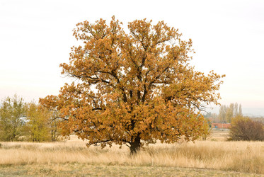 Similar image 347998