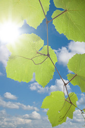 Similar image 348006