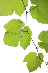 Similar image 348021