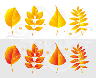 Similar image 348023