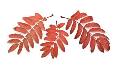 Similar image 348025