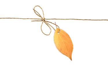 Similar image 348027