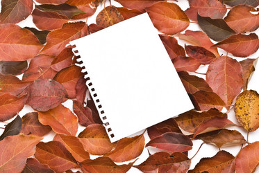 Similar image 348030