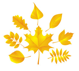 Similar image 348080