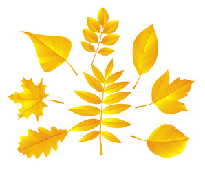 Similar image 348083