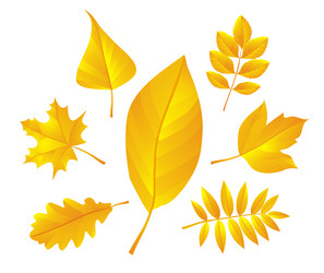 Similar image 348084