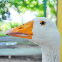 Similar image 348092