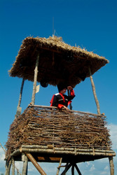 Similar image 348101