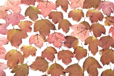 Similar image 348149