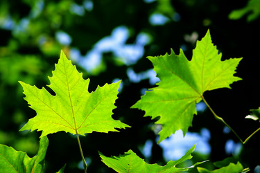 Similar image 348215