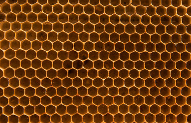 Similar image 348268