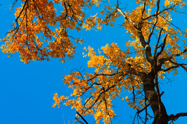 Similar image 348272