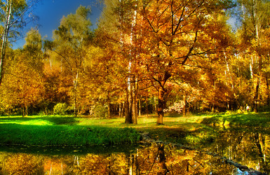 Similar image 348278