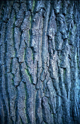 Similar image 348289