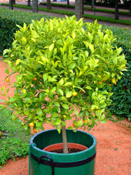 Similar image 348321