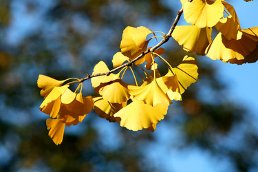 Similar image 348324