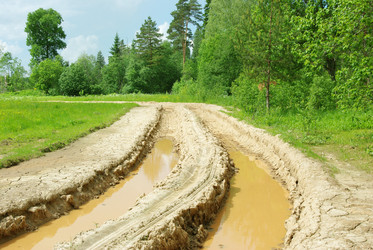 Similar image 348325