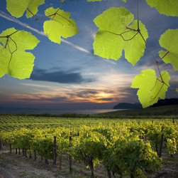 Similar image 348337