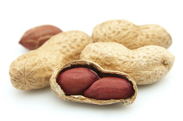 Similar image 348373