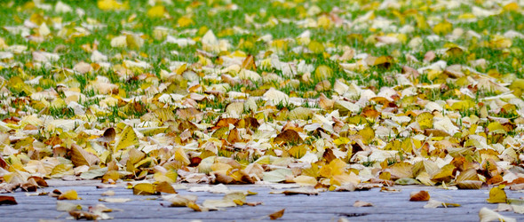 Similar image 348374