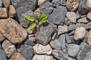 Similar image 348383