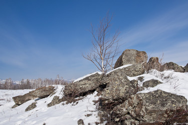 Similar image 348396