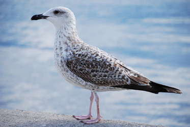 Similar image 348412