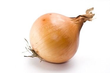 Similar image 348417