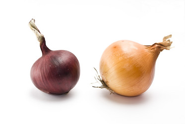 Similar image 348435