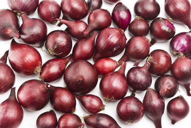 Similar image 348441