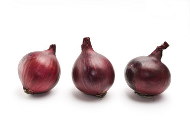 Similar image 348443