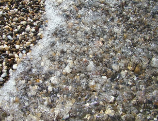 Similar image 348456