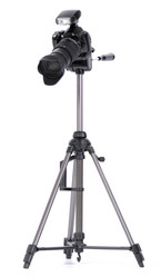 Similar image 348467