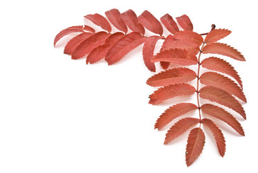 Similar image 348574