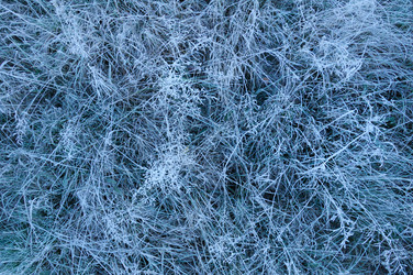 Similar image 348603