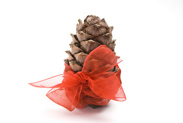 Similar image 348646