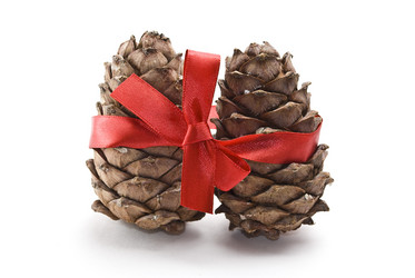 Similar image 348659