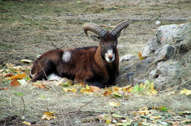 Similar image 348797