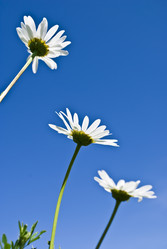 Similar image 348808