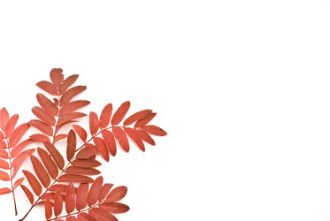 Similar image 348843