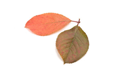 Similar image 348940