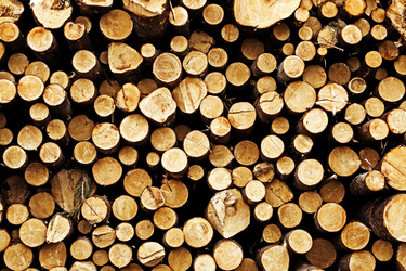 Similar image 348998