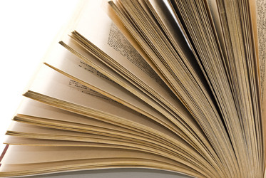 Similar image 349126