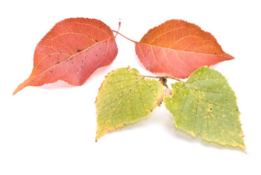 Similar image 349134