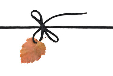 Similar image 349137