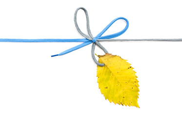 Similar image 349138