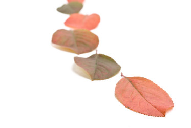 Similar image 349322