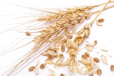 Similar image 349385