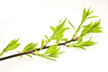 Similar image 349417